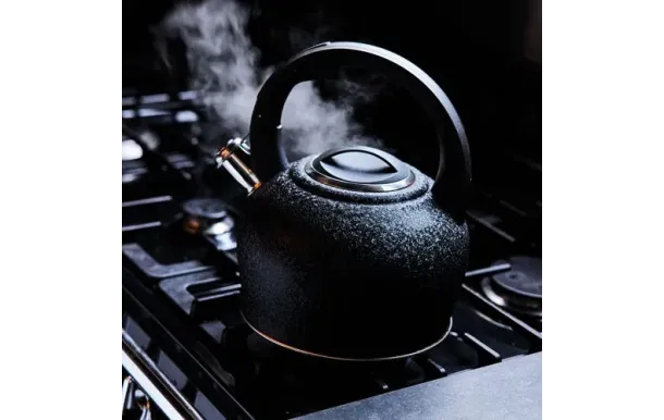 BAUMALU BOUILLOIRE I 342797